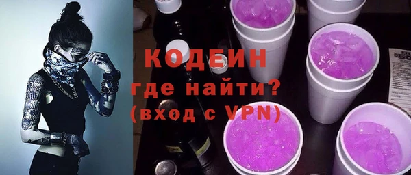 амф Бородино