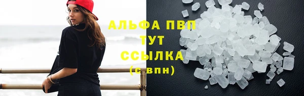 гидра Бронницы