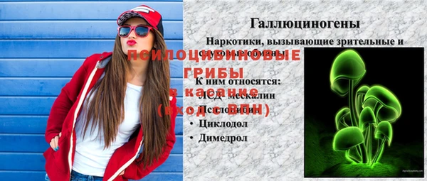 амф Бородино