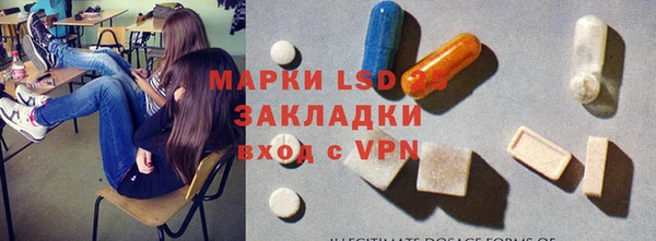 амф Бородино