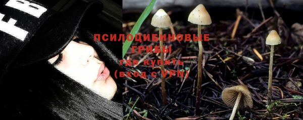 гидра Бронницы